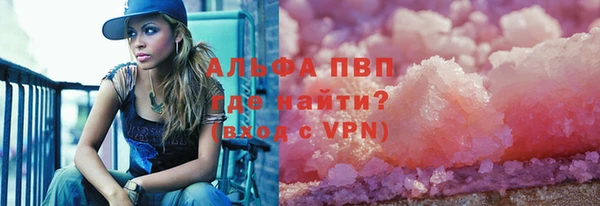 ПСИЛОЦИБИНОВЫЕ ГРИБЫ Новозыбков