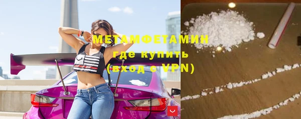 ПСИЛОЦИБИНОВЫЕ ГРИБЫ Новозыбков