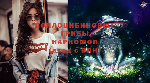 трава Новокубанск