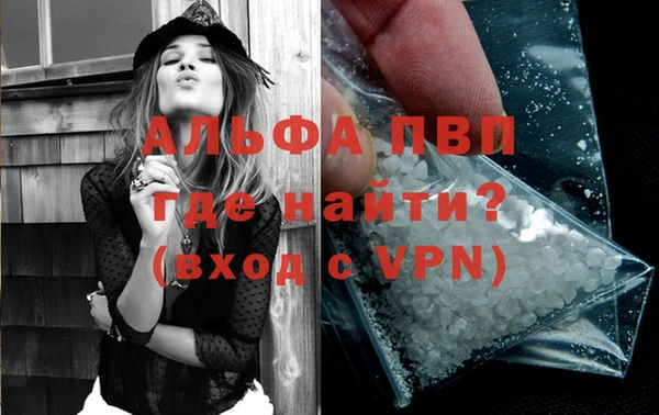 ПСИЛОЦИБИНОВЫЕ ГРИБЫ Новозыбков