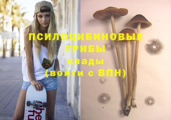 MESCALINE Сосновка