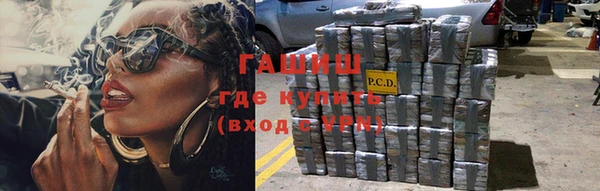 ПСИЛОЦИБИНОВЫЕ ГРИБЫ Новозыбков