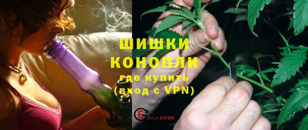 ПСИЛОЦИБИНОВЫЕ ГРИБЫ Новозыбков
