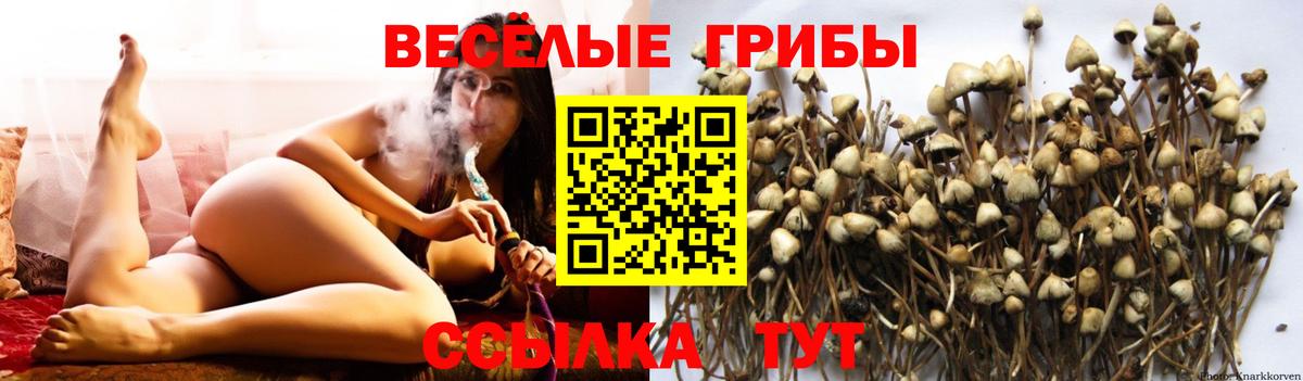 Галлюциногенные грибы Magic Shrooms  Галлюциногенные грибы мухоморы  Ковров  Вход с VPN 
