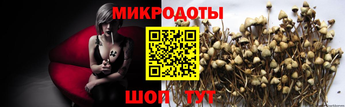 Галлюциногенные грибы ЛСД Ковров